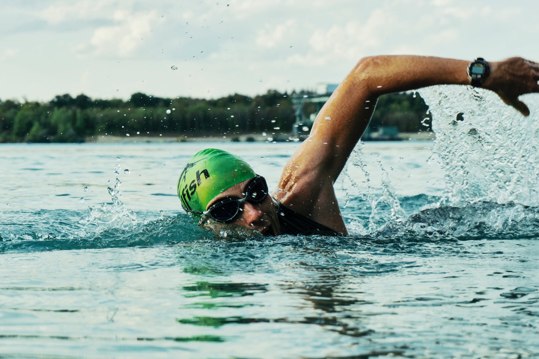 Champion Swimmer